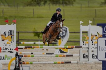 Pony B do sportu - 3