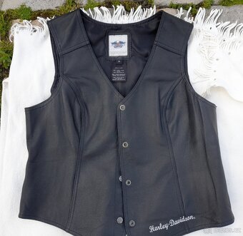 HARLEY DAVIDSON® Vesta XL - 3