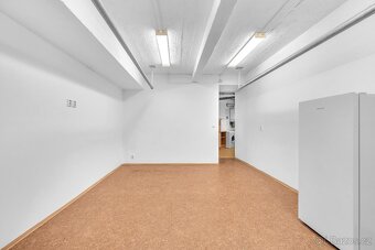 Nabízíme k pronájmu obchodní prostory 76 m2, na rozhraní Vin - 3