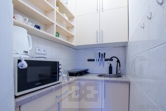 Pronájem bytu 1+kk 26 m², Praha - Holešovice, ev.č. N08519 - 3