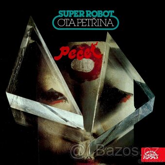 Vinyl - LP desky (rock, pop) - 3