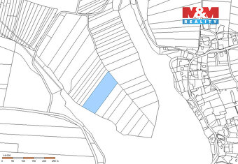 Prodej lesa, 13225 m², Borovany - 3