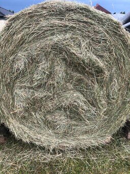 Seno kulaté balíky - 3