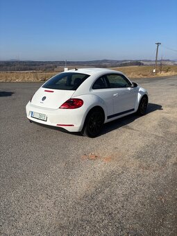 Vw beetle - 3