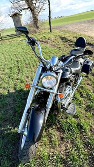 TRIUMPH AMERICA 865 ccm - 3