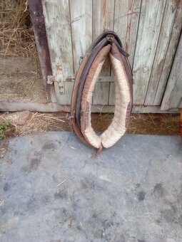 Prodám moravské chomouty - 3