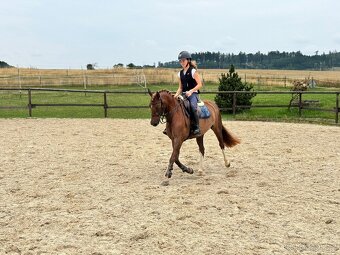 Sportovní pony - 3