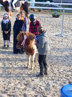 Pony kobylka - 3