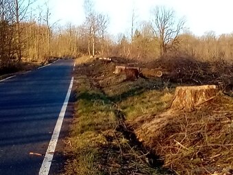 Klest topol za odvoz - 3