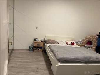 Pronájem bytu 2+1 46 m² Brno, Francouzská - 3