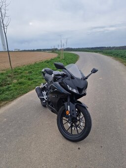 Yamaha yzf r125 - 3