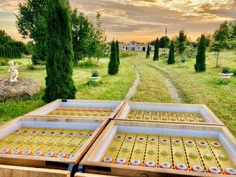 LiFePO4 baterie Winston 260Ah, 300Ah, 400Ah (Nové) - 3