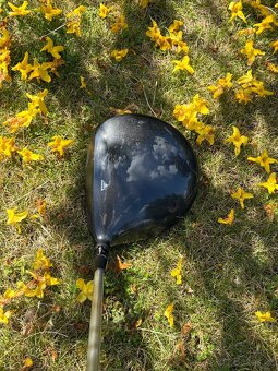 Titleist 917 D2 driver 12.0 - 3