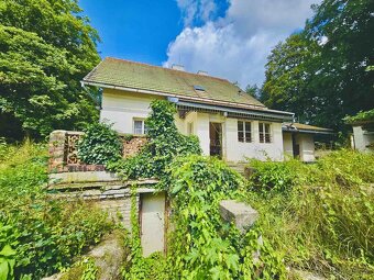 Prodej zemědělské usedlosti 10 684 m2 - 3