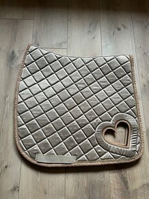 Drezurní podsedlovka Apač - 3