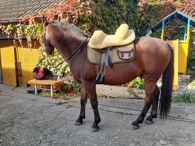 Fellsattel Mattes bezkostrové sedlo - 3