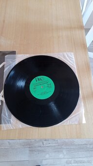 Prodám LP Visací zámek - 3