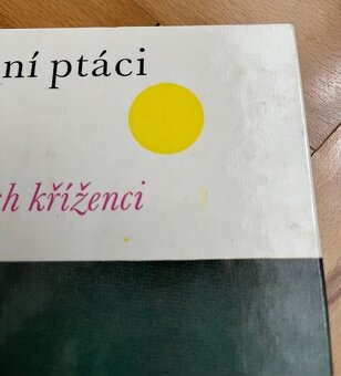 Zelený domov, Kanáři, Pracujeme se dřevem - 3