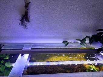 Akvárium 450 l. - 3