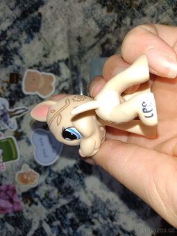 LPS doga - 3