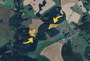 Prodej podílu 3/8 lesa 7 381 m², Hrazany - 3