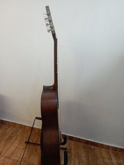 Kytara Amada ( Cremona) - 3