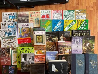 Ďábelská garda,Obraz města,Třetí šimpanz,enc země atd - 3