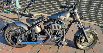 Harley Davidson Softail Custom 1200 - 3