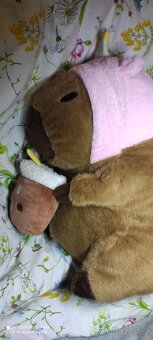 Capybara plyšák 40cm X 30cm - 3
