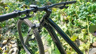 Prodám Cannondale - 3