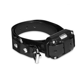 Elektrický výcvikový obojek Patpet 776 - 3