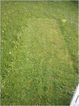 Pronájem stavebního oploceného pozemku CELKEM 2 MÍSTA - 3