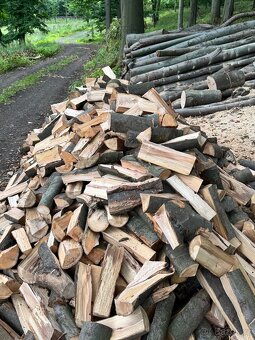 Prodej palivového dřeva - 3