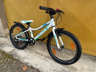 Superior Paint 20 kolo s páčkovým řazením - váha 9,5kg - 3