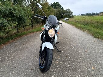 Suzuki SFV 650 Gladius - 3