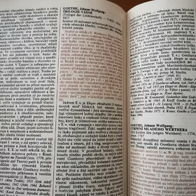Slovník světových literárních děl 1. a 2. díl - 3