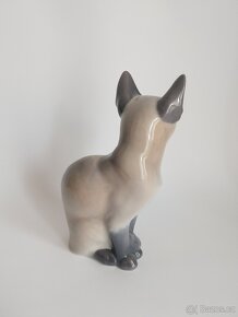 Královská Kodaň - siamská kočka - 3