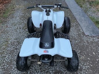 Prodám závodní Access DRR 100 - 3