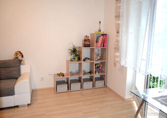 Pronájem novostavby 1+ 1 U Leskavy, Brno - 3