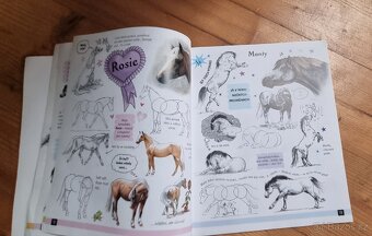 Kniha KRESLÍME PONÍKY - 3