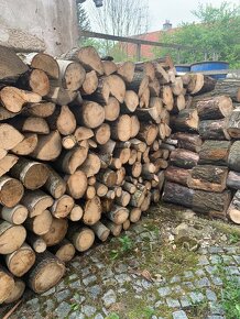 Palivové listnaté dřevo - 3