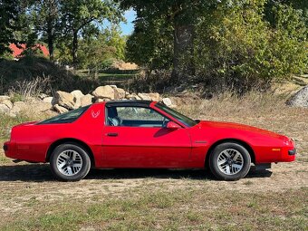 Pontiac Firebird 5.0 V8 Targa 1989 - 3