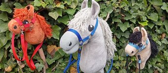 Hobby horse - 3