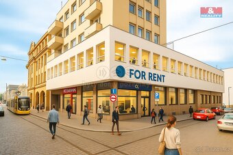 Pronájem obchod a služby, 365 m², Plzeň, ul. Solní - 3