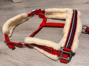 Ohlávka s vodítkem - 3