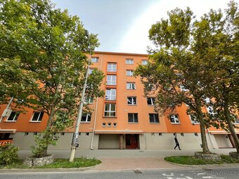 Pronájem bytu 2+1, Brno, Nové sady, 54m2 - 3