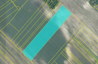 Prodej polí v atraktivní zemědělské oblasti – 3,1 ha - 3