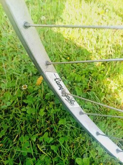 Kolo campagnolo - 3