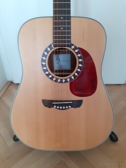 Harley Benton CLD-10S NS+ kufr - 3