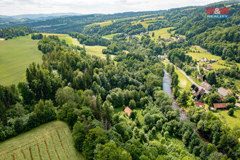 Prodej lesa, 36610 m², Peřimov - 3